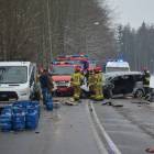zdjęcie nr 12