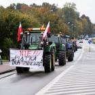zdjęcie nr 34