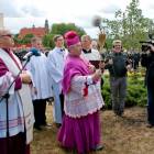 zdjęcie nr 12