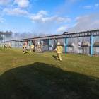 Fotka nr 5 z 22