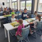 zdjęcie nr 15