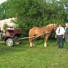 Kolonia - 