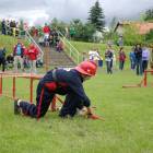zdjęcie nr 13