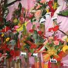 Fotka nr 2 z 8