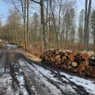 zdjęcie nr 30