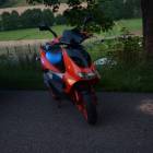 Fotka nr 1 z 8