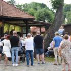 zdjęcie nr 28