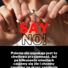 zdjęcie nr 14