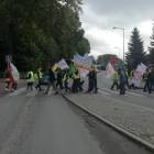 Fotka nr 1 z 99