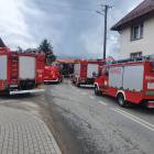 Fotka nr 1 z 4