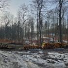 zdjęcie nr 36