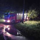Fotka nr 5 z 11