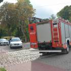 zdjęcie nr 14
