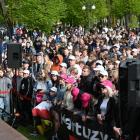 zdjęcie nr 26