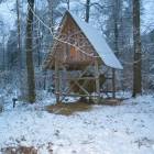 zdjęcie nr 8