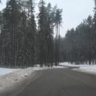 zdjęcie nr 21