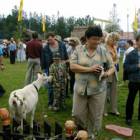 zdjęcie nr 16