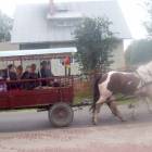 zdjęcie nr 7