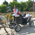 zdjęcie nr 20
