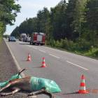 fot. nadesłane/OSP Hopowo