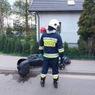 Fotka nr 5 z 6