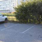 zdjęcie nr 12