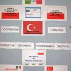 Fotka nr 5 z 6