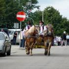 zdjęcie nr 28