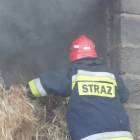 zdjęcie nr 13