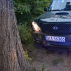 Fotka nr 2 z 20