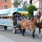 zdjęcie nr 14
