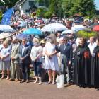 zdjęcie nr 130
