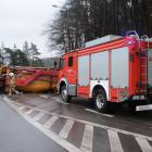 Fotka nr 1 z 17