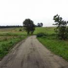 zdjęcie nr 8