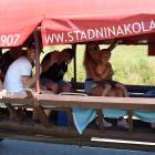 zdjęcie nr 23