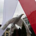zdjęcie nr 23