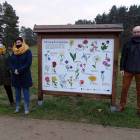 zdjęcie nr 18