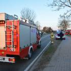 Fotka nr 4 z 23