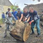 Fotka nr 2 z 10