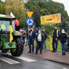 zdjęcie nr 35