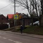 Fotka nr 2 z 5
