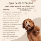 Fotka nr 0 z 1