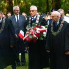 zdjęcie nr 23