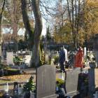 zdjęcie nr 20
