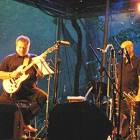 Jazz w Lesie,