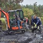 zdjęcie nr 8