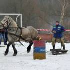 zdjęcie nr 8
