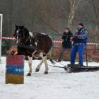 zdjęcie nr 11
