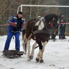 zdjęcie nr 12