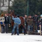 zdjęcie nr 19